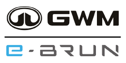GWM - E-BRUN
