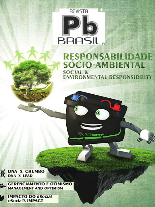 RESPONSABILIDADE SÓCIO-AMBIENTAL